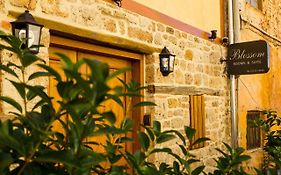 Blossom Rooms & Suite